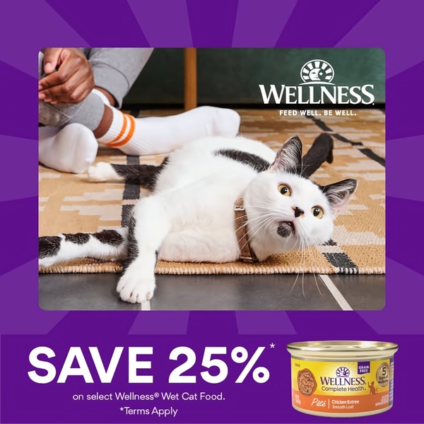 This 1:1 creative displays a pet owner and a cat in a domestic setting alongside a 25% off promotion for specific Wet Cat Food products.